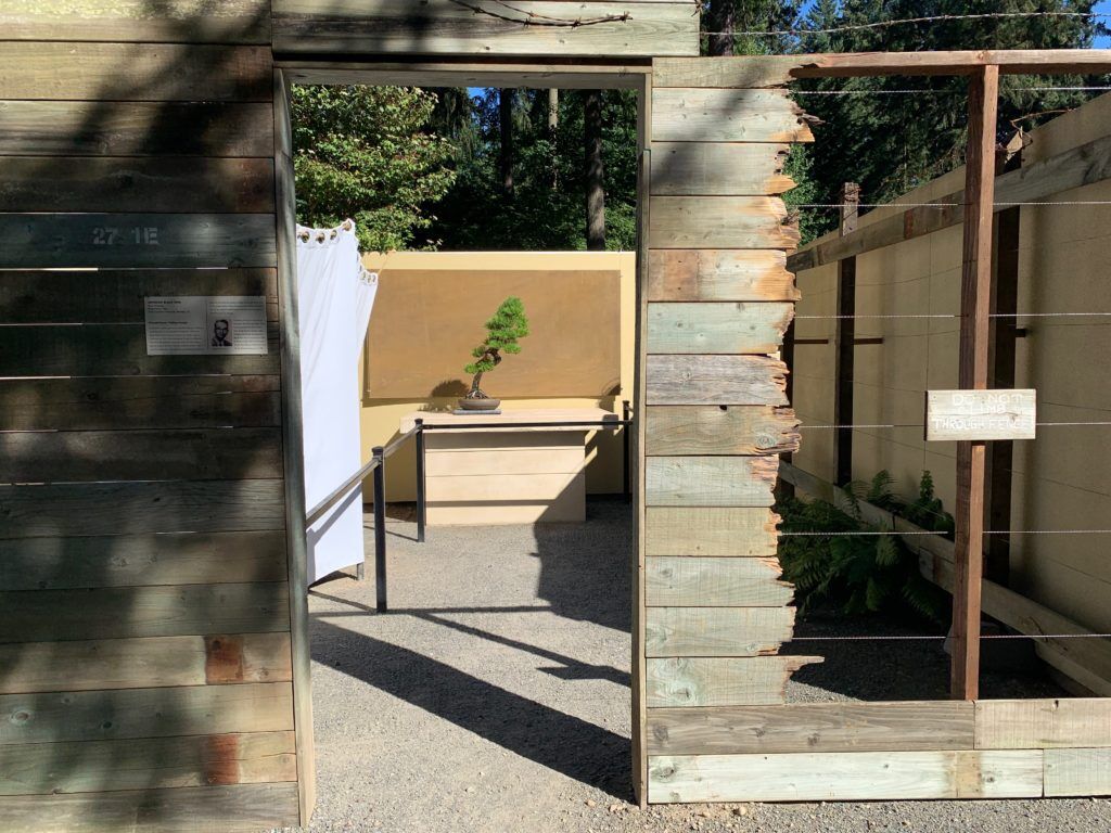 Exhibit in Federal Way Showcases the History of Bonsai Artists